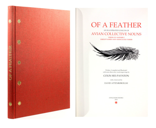 michaelmoonsbookshop:Of A Feather an illustrated lexicon of Avian Collective Nounsterms of assembly 