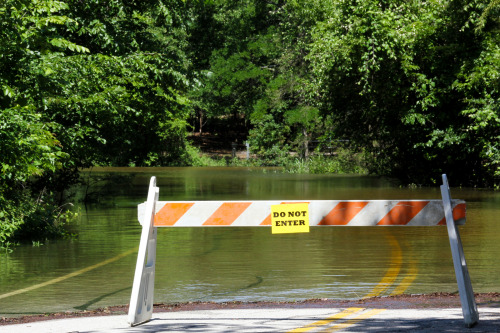 We’ve had a little rain lately…