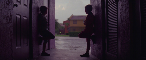 A Film A Day.