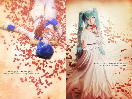 Vocaloid - CendrillonWao as KaitoZess Amano as MikuPhoto by Mellysa