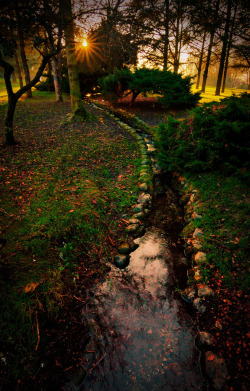 allthingseurope:    Parco della Pellerina,Turin, Italy ( by Laura Schepis)