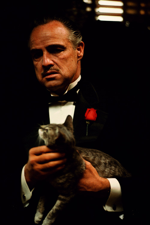 XXX  The Godfather (1972)  photo