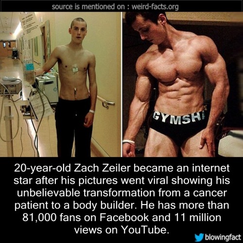 mindblowingfactz:    20-year-old Zach Zeiler became an internet star after his pictures went viral showing his unbelievable transformation from a cancer patient to a body builder. He has more than 81,000 fans on Facebook and 11 million views on YouTube.