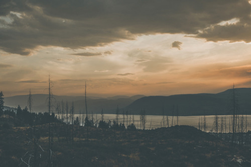 man-and-camera:  Smoke ➾ Luke Gram 