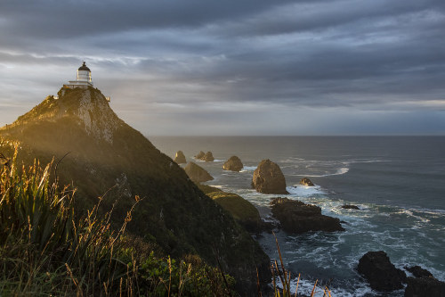 First light by Ian@NZFlickr at Nugget Point Lighthouse 83 km south of our home. It is a 900 m walk f