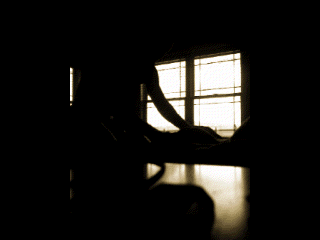 middlesizedwhiteboy:  dont you just love morning sex?
