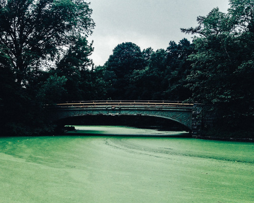 SFSpace aka Sandra Frankenhäuser - Prospect Park from Wanderlust  Photography