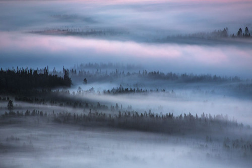 melodyandviolence:    Tranquil forest  Iso-Syöte, Finland by Tiina Törmänen  