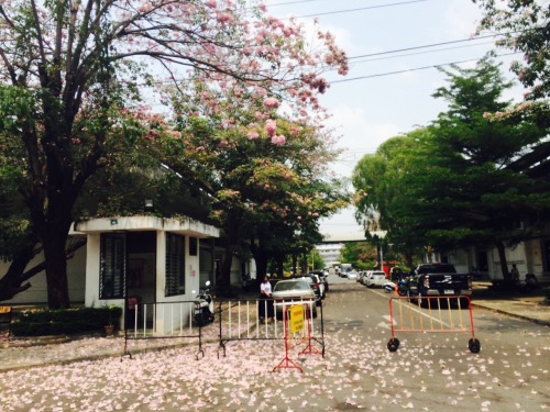 mynameisbrazilth: 18.03.2014 ช่วงนี้อยู่ในช่วงสอบ  ทั้งเดือนเลย สอบเสร็จ 29 มีนาอะ แอบถ่ายรูปเก็บบรร