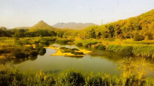 Still Admiring The Nature In The Hot Summer Sun... In The Train Going To Chiang Mai... #sun #nature #unwind
