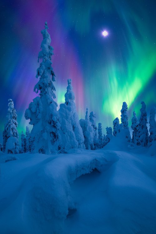 j-k-i-ng:“Candyland” by | Marlon HoldenDalton Highway, Fairbanks, Alaska