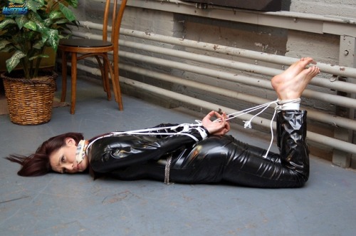 bondagehedgehog:  Tarynn