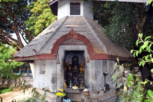 Naga shrine, south Karnataka