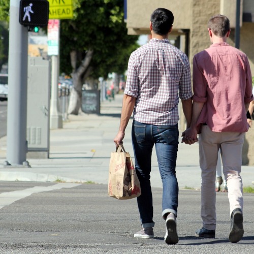 Amazing Gays