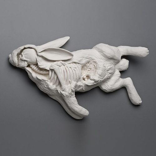 karaschneikart:  strangebiology:Sculptures by Kate MacDowell.  These are insane