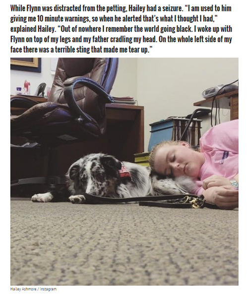 misscherry:  beloved-rose:    Teen With Epilepsy Has A Seizure When Her Service Dog