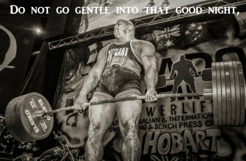 weaponsgradegains:  Part of “Do Not Go Gentle Into That Good Night” by Dylan Thomas.