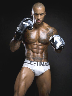 darkflex:  Knockout 3