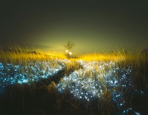 unicorn-meat-is-too-mainstream:  “Starry Night” by Lee Eunyeol Bhakta’s Weblog:  facebook  |  twitter  |  pinterest  | subscribe