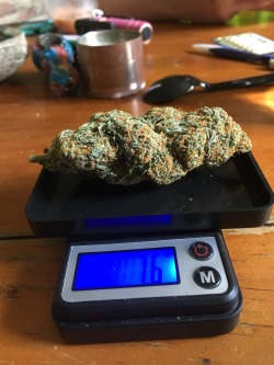 bluedreamsequence:  7.6 nug of blue dream.   it’ll finally be a happy 420 