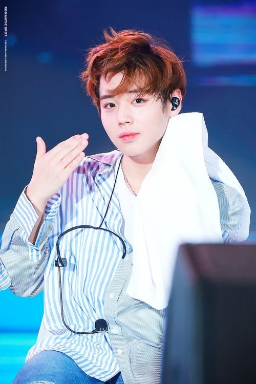 fyeah-parkjihoon:© romantic spot ☁︎ do not edit or crop logo 
