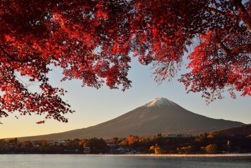 todayintokyo: Mount Fuji in autumn, from the Twitter account of @Takashi_LF   