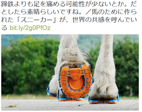 dontrblgme404:佐々木俊尚さんのツイート: “蹄鉄よりも足を痛める可能性が少ないとか。だとしたら素晴らしいですね。／馬のために作られた「スニーカー」が、世界の共感を呼んでいる https://t.co/AM8fjjiHBI