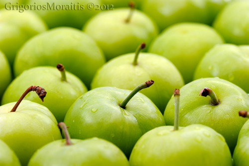green plums
shop Art Prints & home decor
check for image license