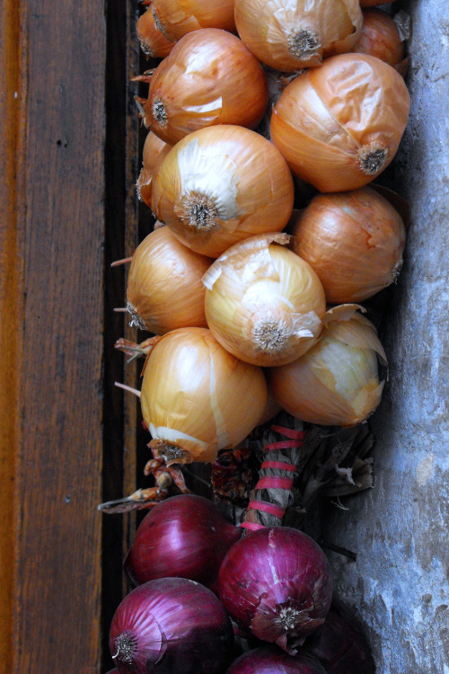 Onions, Assisi, Italy, 2010.