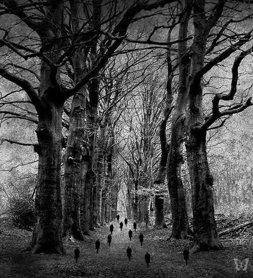 whitesoulblackheart:  Lucky 13 by Lars Van de Goor (Please leave credit … Ƹ̴Ӂ̴Ʒ)