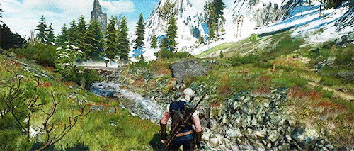 ladyennefers:the skellige wilderness