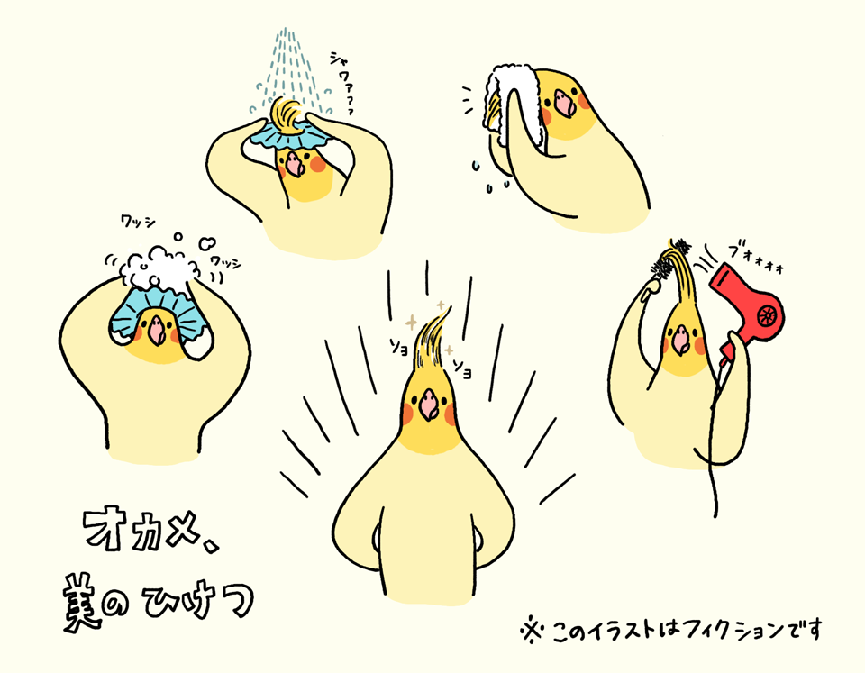 tsujisaoricp:  オカメ、美のひけつ 