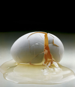 oxydes:  Cracked Egg, Irving Penn, 1958 