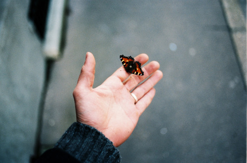 downhilldeep:  atraversso:  Simple Life  by Theo Gosselin Please don’t delete the link to the photographers/artists, thanks!   🌸