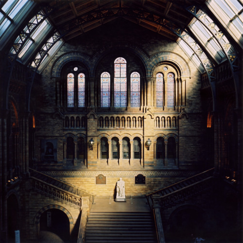 helloafflatus: vintagepales: Natural History Museum by  niknkimnollienelise@oldvictoria