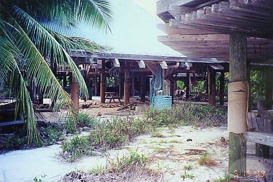 I M A Grown Up Disney Kid Disney Tbt The Lost Treasure Island Bahamas I M A Grown Up Disney Kid Disney Tbt The Lost Treasure Island Bahamas