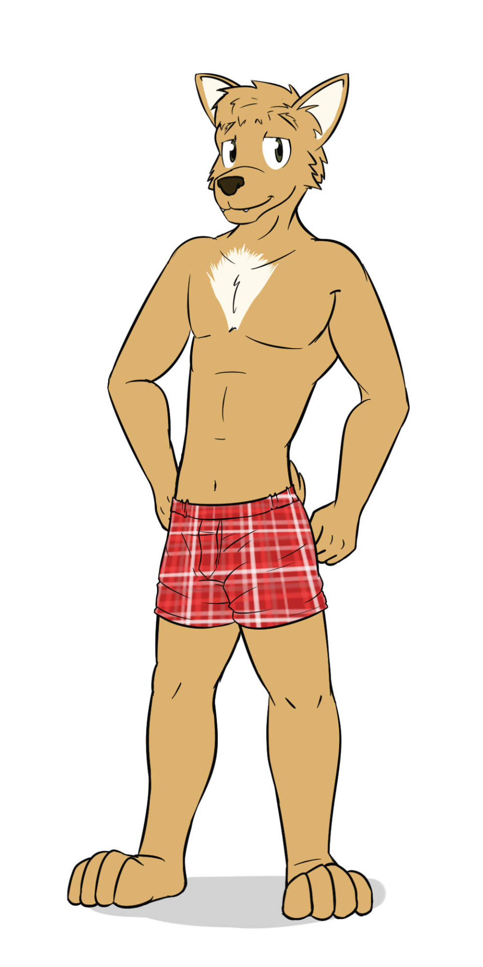 Raffle Request 2 - Anthro CorgiFolks seemed to like the simple standing pose, so