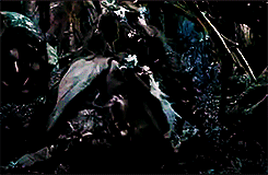 ladykili:The Hobbit: Desolation of Smaug:↳ Tauriel and Kili (with a lovely dose of badass Tariel and