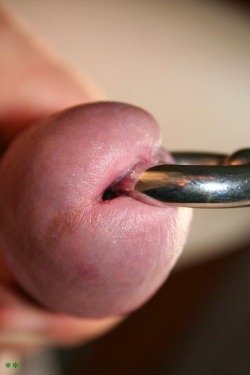 What an incredible shot of this piercing as the ring passes through this man’s piss slit&hellip;it’s almost like seeing silver cum flowing out of him.