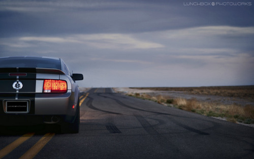 Muscle Cars Fans