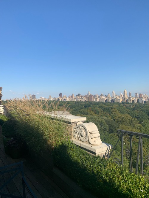 York On Terrace Of Central Park West Duplex Penthouse Property
