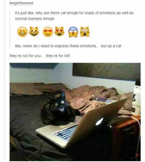 pleatedjeans:  Tumblr Gets Deep (21 Pics) 
