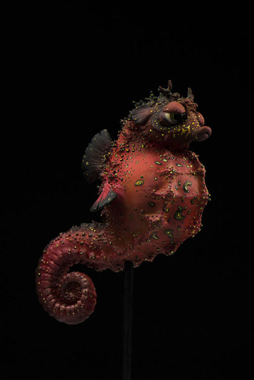 mutantlexi:  archiemcphee:  When we first discovered the work of Kasia and Jacek Anyszkiewicz of KatyushkaDolls they were making awesomely cute and furry spiders. Now they’ve turned their creative attentions to the ocean, creating monstrously cute deep
