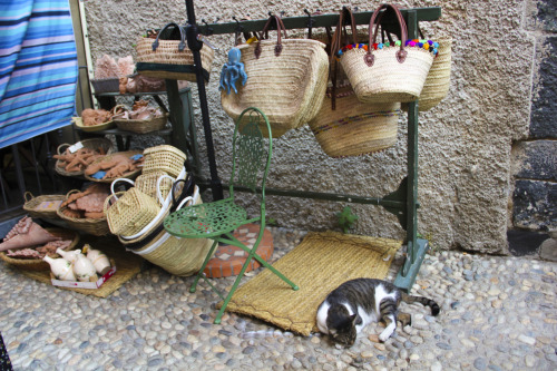 ShopkeeperMonterosso al Mare, Cinque Terre, Italy