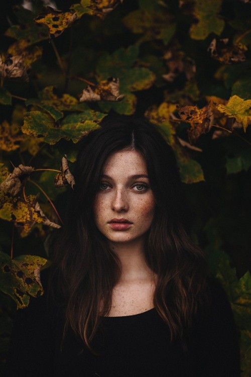 positivelynoteworthy:  (via 500px.com)