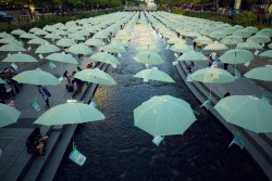 daebak-ymk:Umbrellas over Cheonggyecheon,