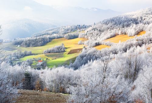 First Frost by AdnanBubaloVery cold  and so warm morning.trees,forest,white,village,ice,frost,freez