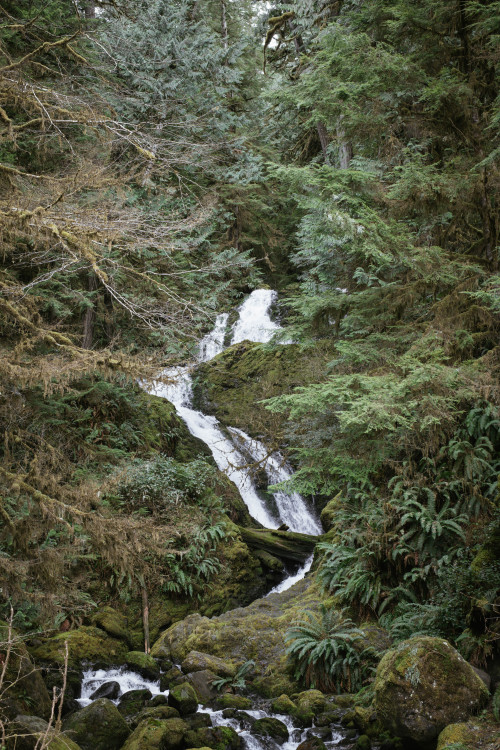 A river cuts through a rock, not because of its power but because of its persistence