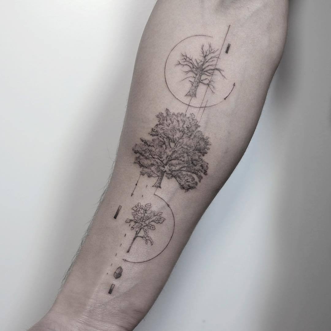 Resultado de imagen de tatuaje araucaria | Kleine tattoos, Tattoo ideen,  Tattoos