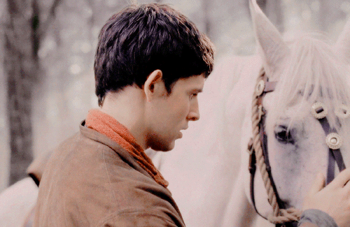 ladybingley:∙maybe i should go around wearing a pointy hat. i don’t think you’ll find one big enough